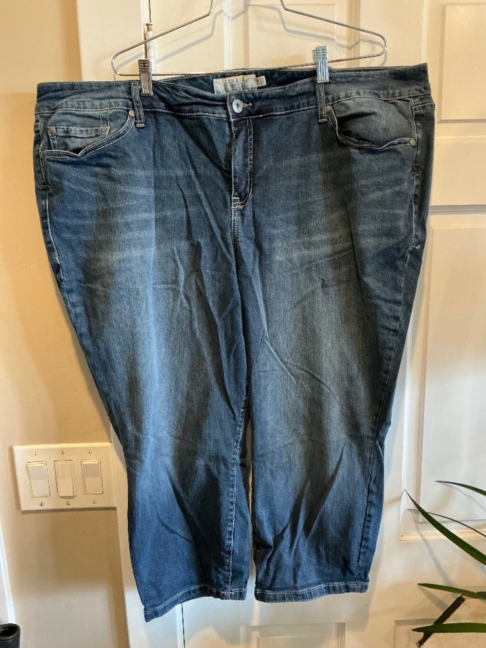 Torrid jeans size 26w!
